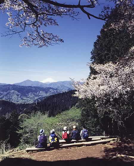 高尾山から見る富士山